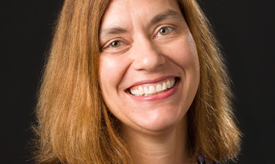 Dr. Sandra Springer